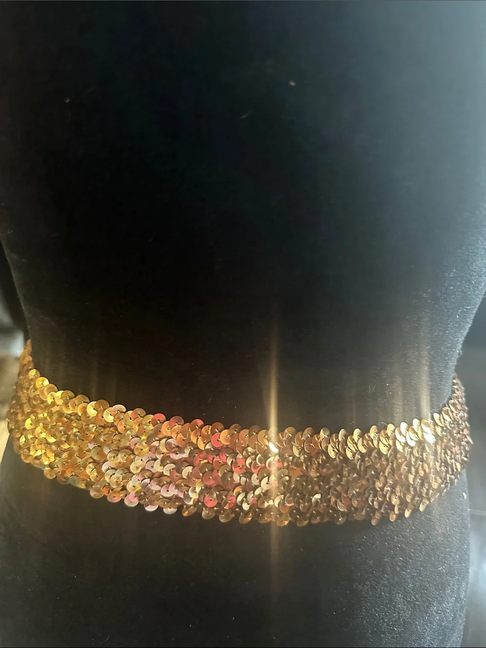 Gold Sequin Statement Waist Belt with Silver Knot Buckle